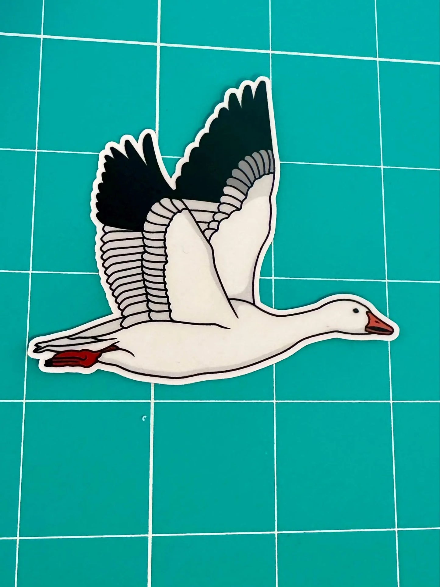 Magnet! Snow Goose Fridge Magnet