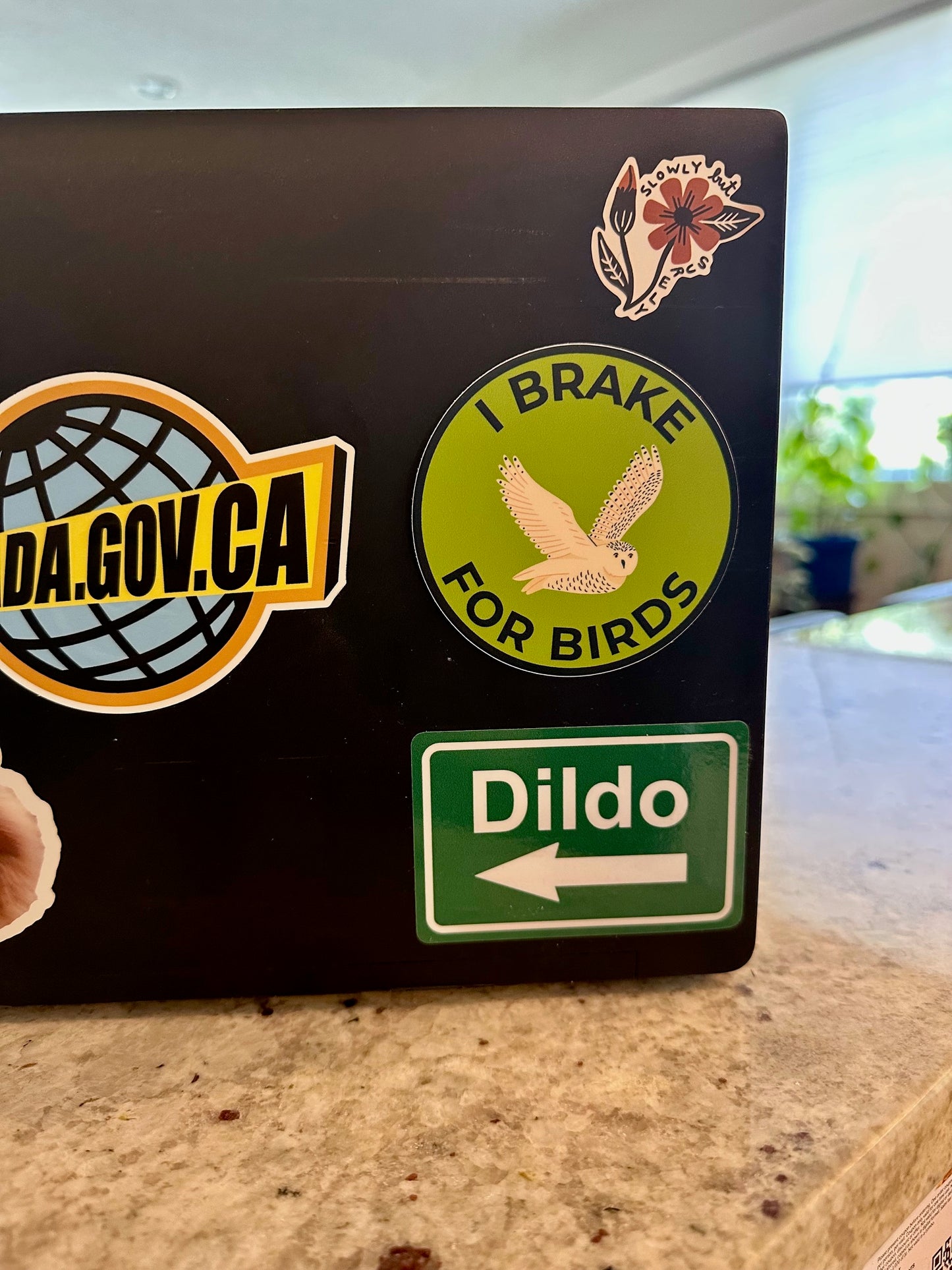 I Brake for Birds Snowy Owl Sticker