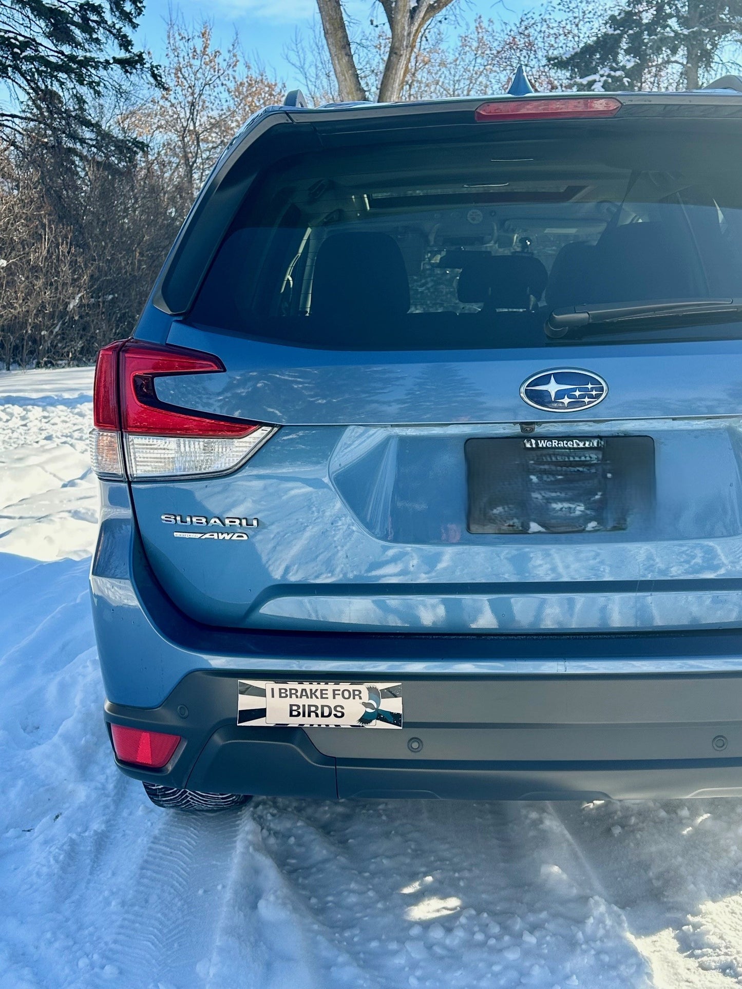 I Brake for Birds Bumper Sticker image 1