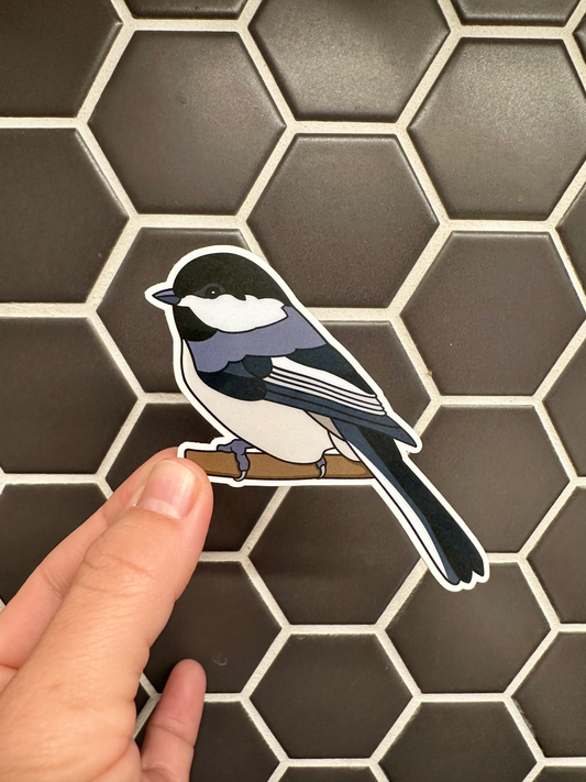 Black-capped Chickadee Sticker image 0