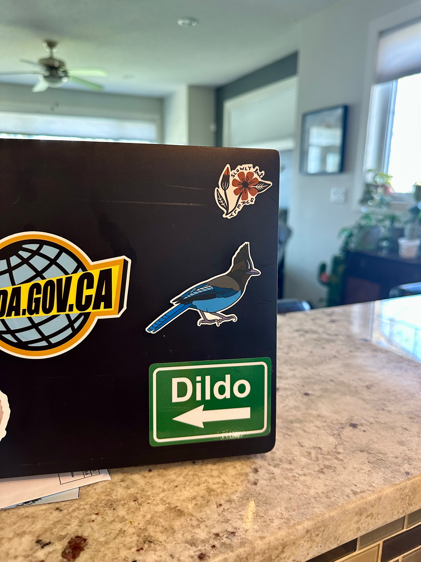 Steller’s Jay Sticker image 1