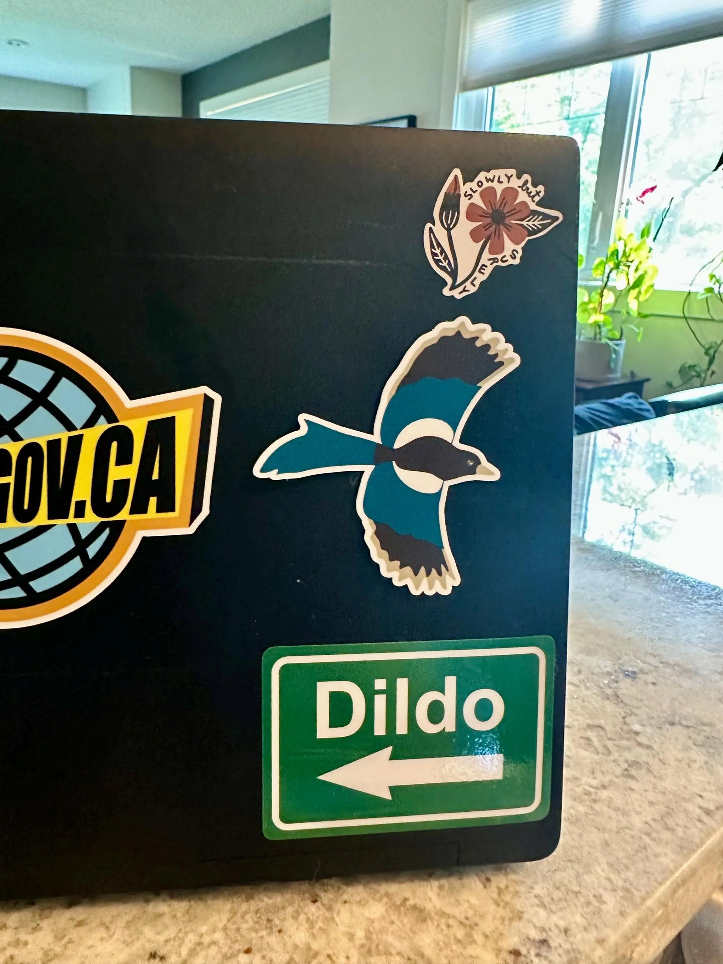 Black-billed Magpie Sticker image 1