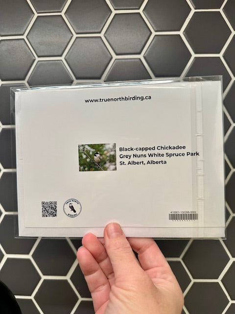 back of card with a Black-capped Chickadee image and text held against a tiled wall.