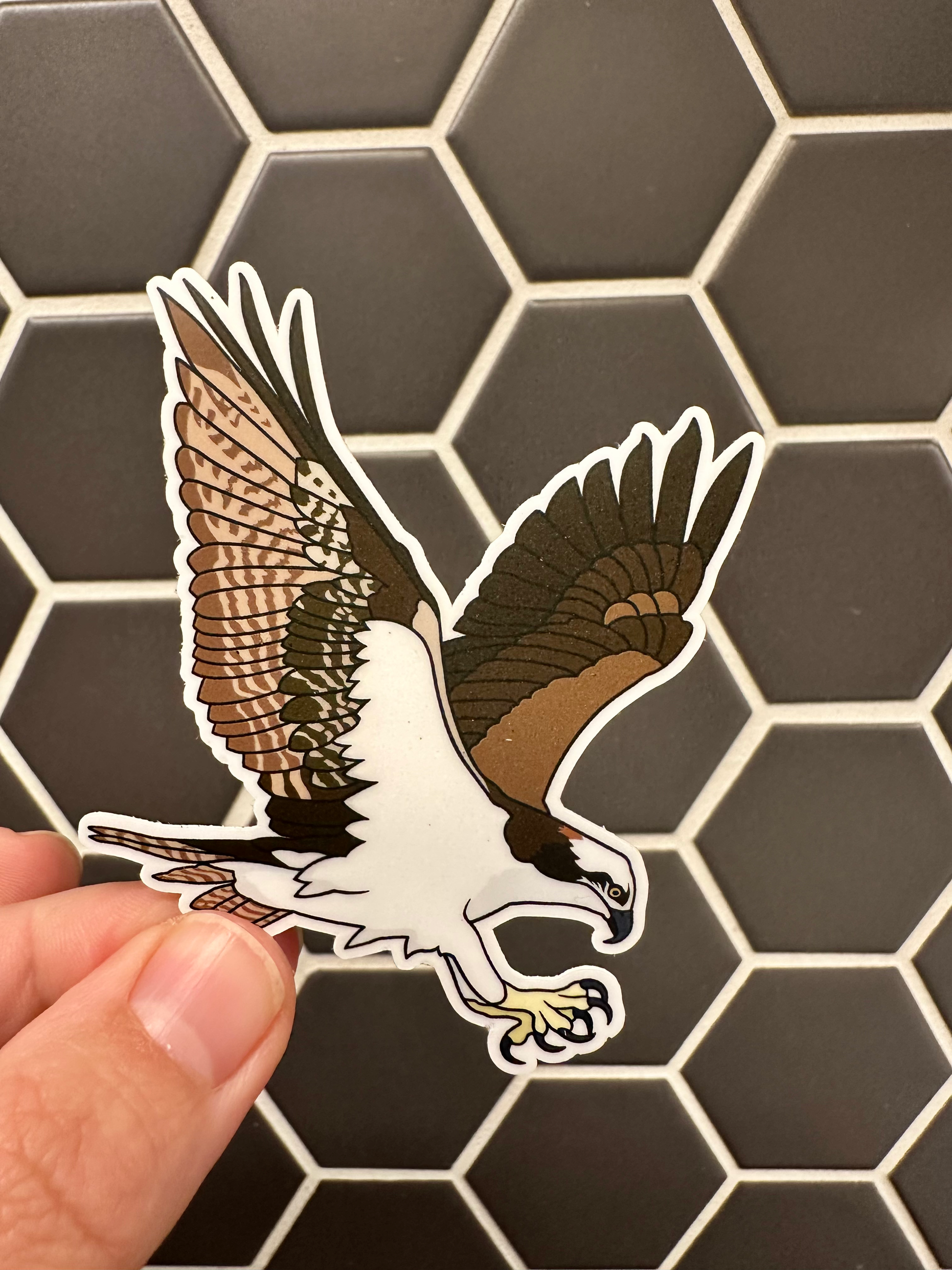 Osprey Sticker image 0