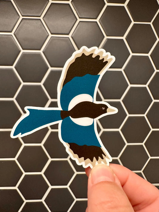 Black-billed Magpie Sticker image 0