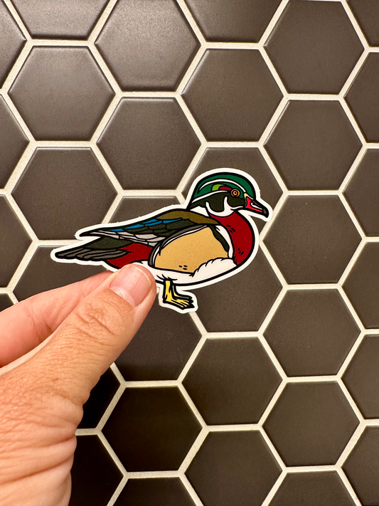 Wood Duck Sticker image 0