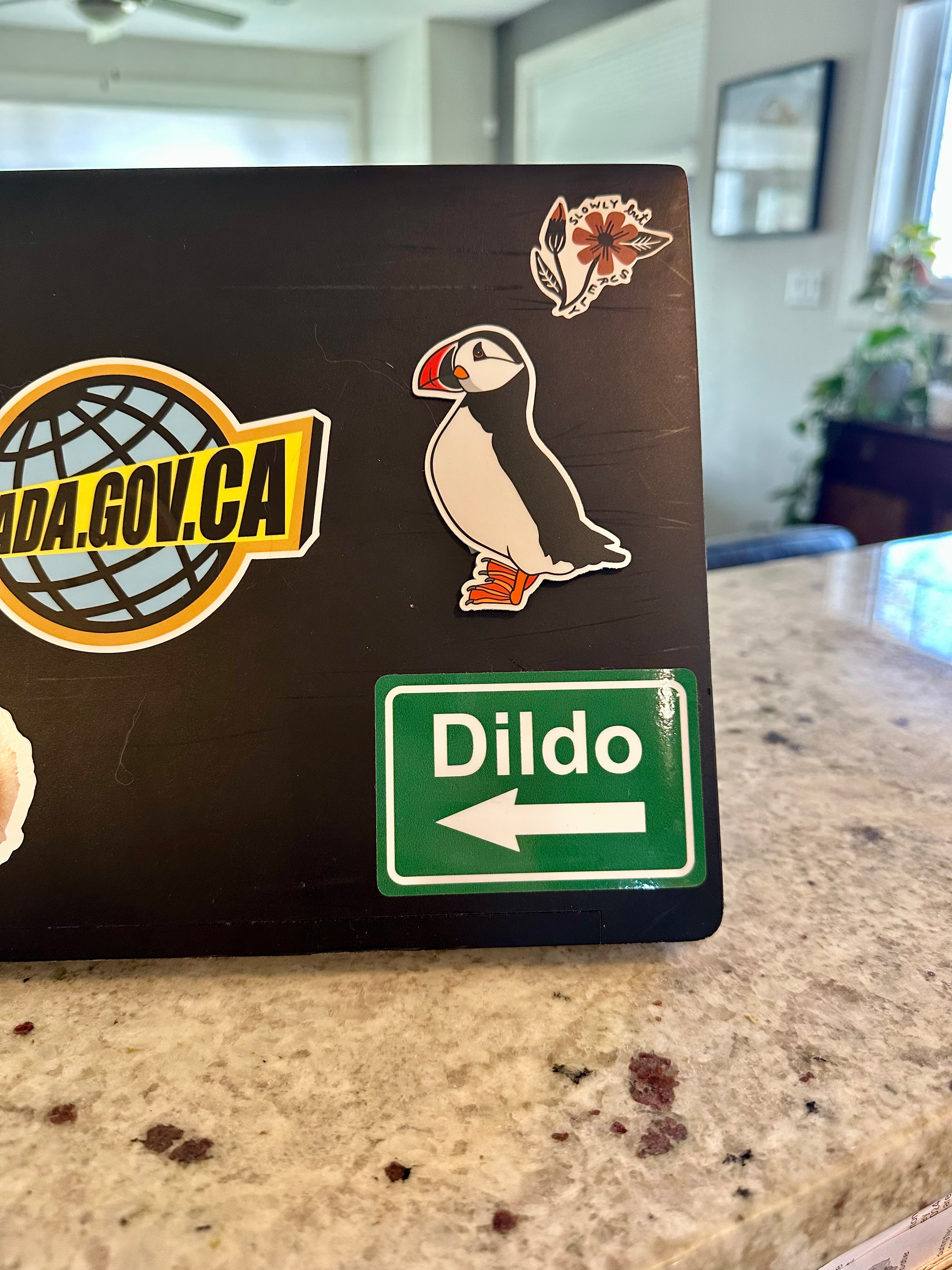 Atlantic Puffin Sticker image 2