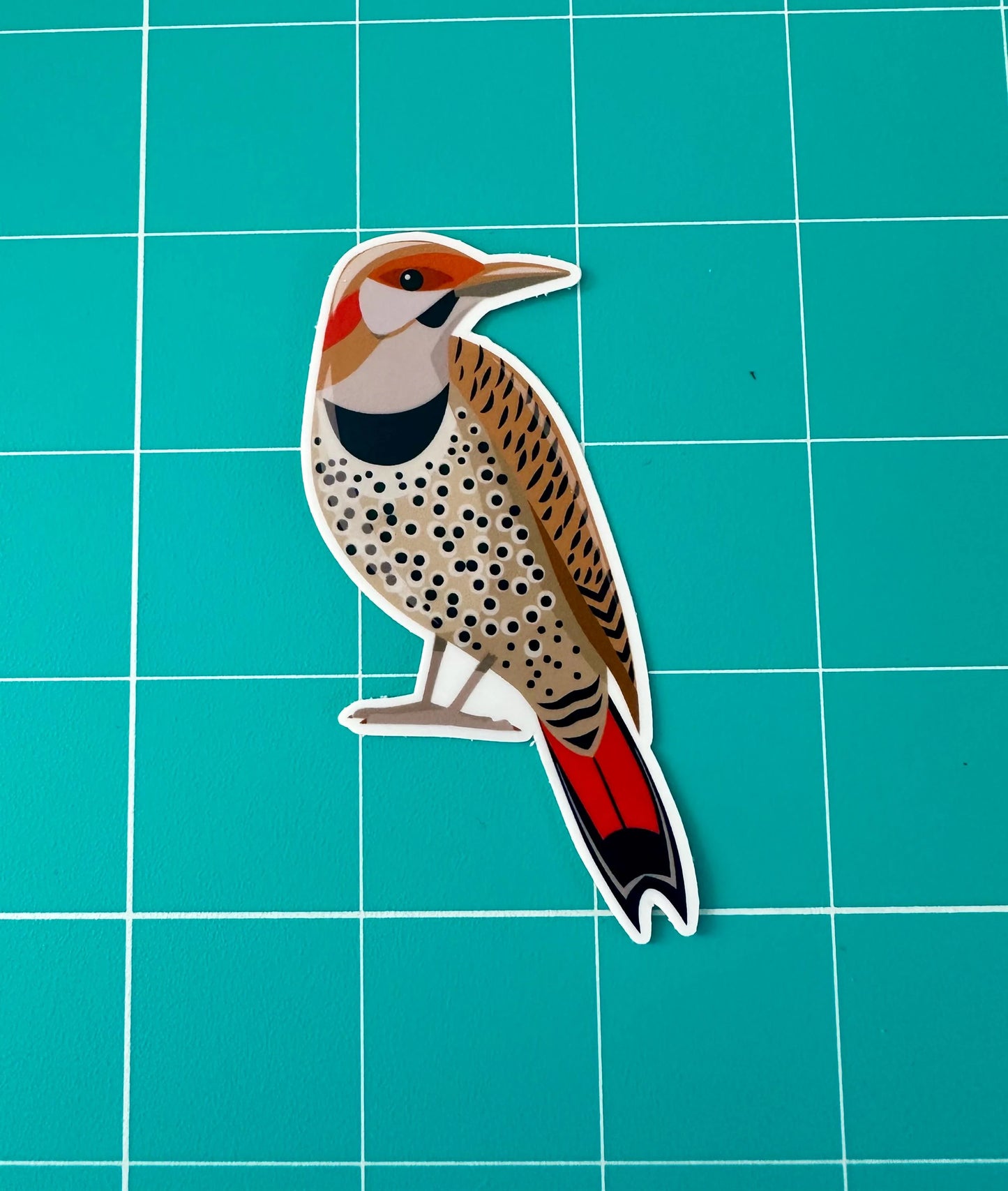 Northern Flicker Sticker image 2