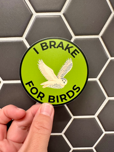 I Brake for Birds Snowy Owl Sticker