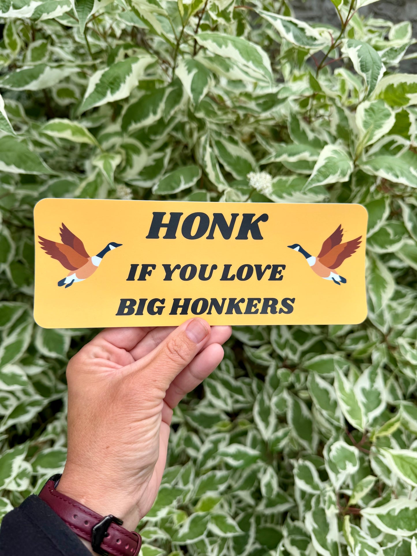 Honk If You Love Big Honkers Bumper Sticker: Weatherproof Vinyl