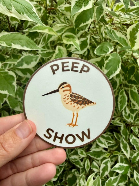 Peep Show Sticker: Sandpiper Peep, Weatherproof Vinyl Decal