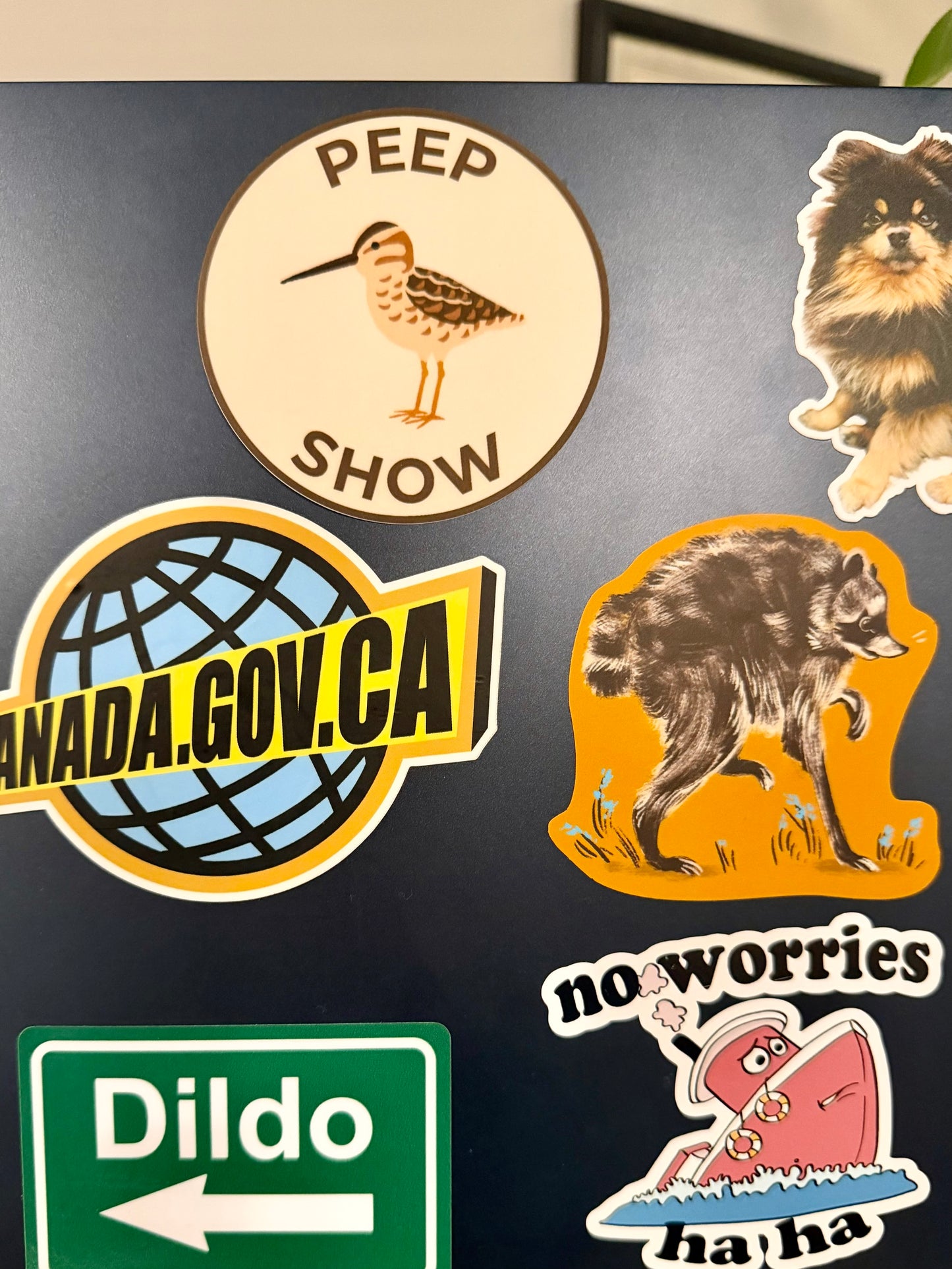 Peep Show Sticker: Sandpiper Peep, Weatherproof Vinyl Decal